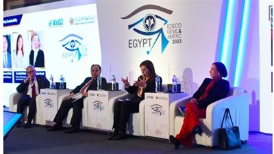 وزراء المالية والتخطيط والبيئة يناقشون تعزيز الاستدامة خلال مؤتمر لجنة الأسواق النامية