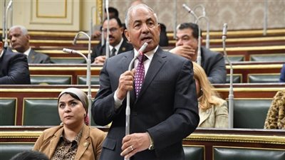 برلماني: المجتمع الدولي يقف متفرجًا على جرائم إسرائيل