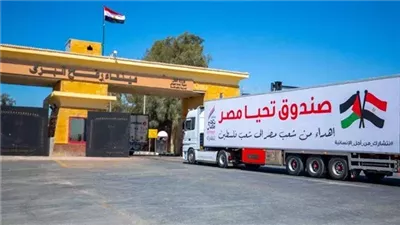 أستاذ علاقات دولية: الدبلوماسية المصرية نجحت في تغيير نظرة المجتمع الدولي للقضية الفلسطينية