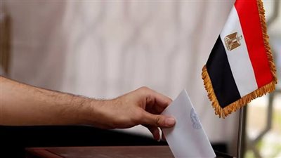 المصريون في إيرلندا يشاركون في الاستحقاق الرئاسي  (شاهد) 