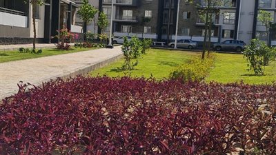 تنفيذ الأعمال الأخيرة بمشروع 