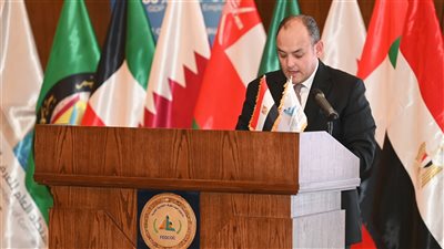 وزير الصناعة : التعاون الاقتصادي مع دول الخليج ركيزة أساسية لمواجهة الأزمات