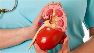 عناصر غذائية تتحكم في مستويات حمض البوليك