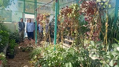 يضم 180 نوعًا.. مدير  تعليم قوص يتفقد مشتل مدرسة حجازة قبلي