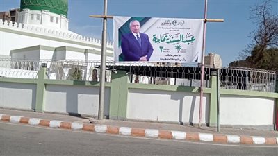 صور| الدكتورة ســمر عاطف تقود الحملة الترويجية لرئيس الوفد بقنا
