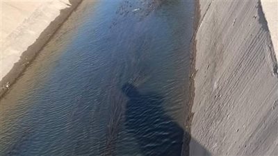 بني سويف: تبطين 704 كم من الترع 