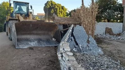 إزالة فورية ل4 حالات تعد بقرية دندرة بقنا