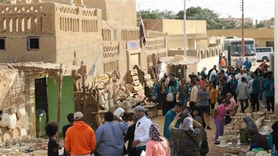 أهل مصر .. جولة تثقيفية لشباب ملتقى المحافظات الحدودية بالداخلة