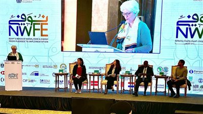 المشاط: الاستفادة من خبرات صندوق 