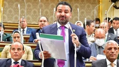 برلماني: مبادرة منتدى شباب العالم تهدف لتقديم الدعم لضحايا الحروب والنزاعات