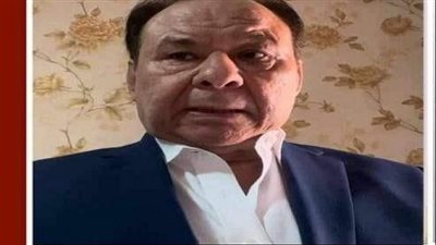 المصريون في الخارج جاهزون لـ