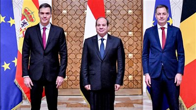 محلل: مصر باتت قبلة العالم والقاهرة نجحت فيما فشل فيه مجلس الأمن