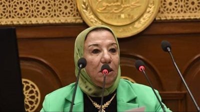 النائبة حياة خطاب تشيد بالدور المصري في اليوم العالمي للتضامن مع فلسطين 