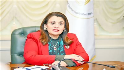 ١٣٧ سفارة وقنصلية فى ١٢١دولة تستقبل أصوات المصريين فى الانتخابات الرئاسية 