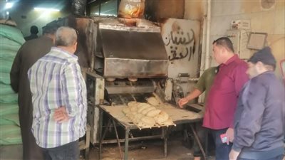 تحرير ٧٩ محضرًا في حملات تموينية بالإسماعيلية