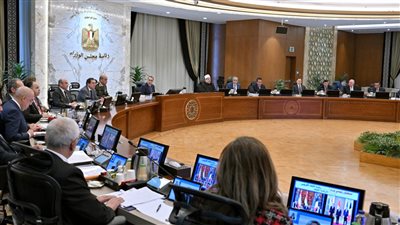 من بينها إقامة محطة شمسية .. أهم قرارات الحكومة اليوم 