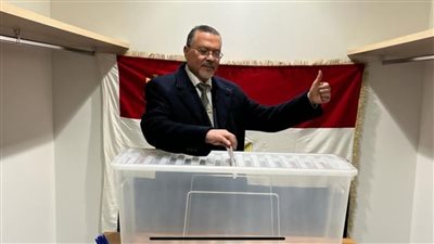 بالأعلام واللافتات.. المصريون بجنيف يشاركون في الانتخابات الرئاسية 