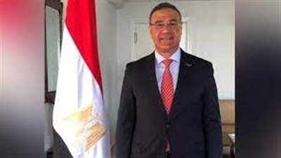 سفير مصر لدى الجزائر  .. انطلاق عملية تصويت أفراد الجالية المصرية بنجاح