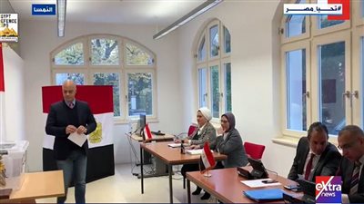 بالإعلام والشعارات.. الجالية المصرية في فرنسا وأيرلندا تشارك بكثافة في الانتخابات الرئاسية