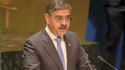رئيس وزراء باكستان: صندوق الخسائر والأضرار مهم لمستقبل قضايا المناخ