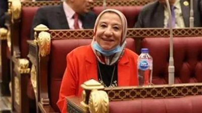 النائبة حياة خطاب تشيد بإقبال المصريين بالخارج علي صناديق الانتخابات