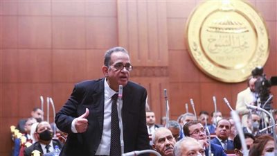 النائب طارق عبد العزيز يشيد بمشاركة المصريين بالخارج في الانتخابات