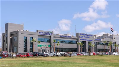 ميناء دمياط يستقبل 33 سفينة ومغادرة قطار بحمولة 1318 طن قمح