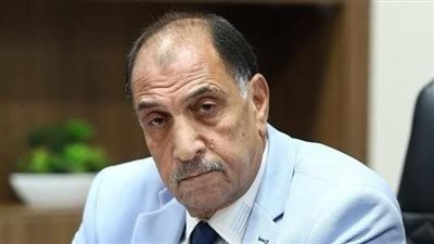 إسماعيل علي: فعاليات التصويت للمصريين بالخارج سادت في جو ديمقراطي حر وهادئ