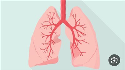 فيتامينات تحافظ على صحة الرئتين