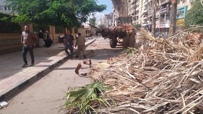 رفع 1600 طن قمامة من شوارع وميادين المنصورة 