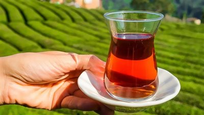 الشاي علاج بسيط لتدهور الدماغ.. دراسة توضح 