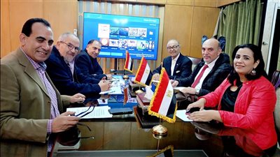 اتحاد المصريين بالخارج: إقبال الناخبين من أبناء الجاليات المصرية فاق توقعتنا بكثير