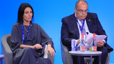 محيي الدين يؤكد أهمية حشد التمويل الكافي والعادل لأنشطة التكيف مع تغير المناخ في الدول النامية 