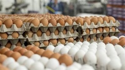 أسعار البيض مستقرة في شم النسيم.. كرتونة البيض بـ 150 جنيها