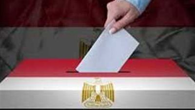 باحث: أعداد الشباب والنساء المشاركة في الانتخابات الرئاسية كبيرة (شاهد) 
