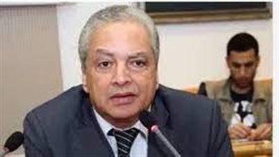 زيادة نسب مشاركة المصريين بالخارج في الانتخابات يعكس انتمائهم لوطنهم الام  