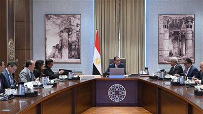 باستثمارات حوالي مليار دولار.. رئيس الوزراء يستعرض مشروعًا لإنتاج الأمونيا الخضراء 