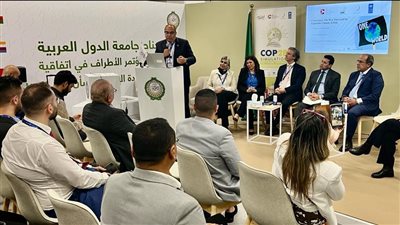 محيي الدين: الشراكات بين القطاعين العام والخاص هامة للمساهمة في تنفيذ مشروعات المناخ