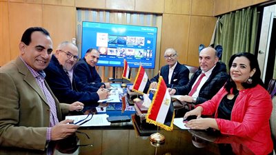 الاتحاد العام للمصريين بالخارج: ملحمة انتخابية سطرها أبناء مصر على مدار ٣ أيام
