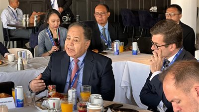 وزير المالية: تحويل مديونيات لأداة لمواجهة التغير المناخى دفعة قوية للاستثمارات الخضراء