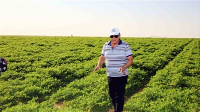 ١٣٠٠ شركة من المنتفعين بأراضي مشروع الـ ١.٥ مليون فدان تحصل على كارت الفلاح