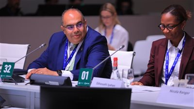 محيي الدين: مضاعفة التمويل ومشاركة القطاع الخاص ضروريان لتنفيذ أنشطة التكيف مع تغير المناخ