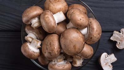 تناول الفطر بانتظام يحمي من السرطان.. دراسة توضح 