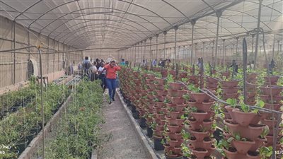 زيارة مبعوثين من عدة دول افريقية وآسيوية للمعمل المركزي للمناخ الزراعي 
