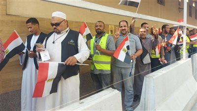 أستاذ علوم سياسية: مشاركة المصريين بالخارج في الانتخابات 