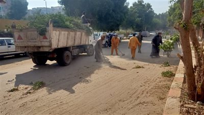 رفع 300 طن مخلفات صلبة من محيط اللجان الإنتخابية بقوص