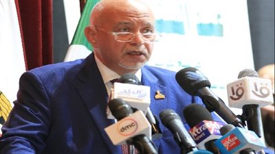 حازم الجندي: مشاركة 45% من الناخبين حتى الآن موقف وطني تاريخي للمصريين