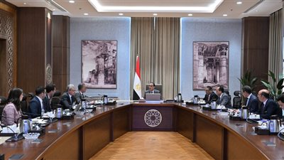 مدبولي يلتقي فريق شركة 