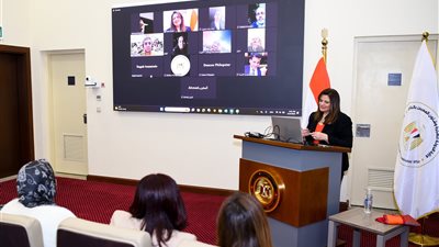  وزيرة الهجرة تثمن ما قدمه المصريون بالخارج في الانتخابات الرئاسية 