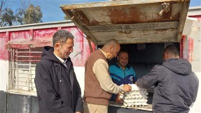 سكرتير بنى سويف يتابع مشروعات الدواجن المركزية 